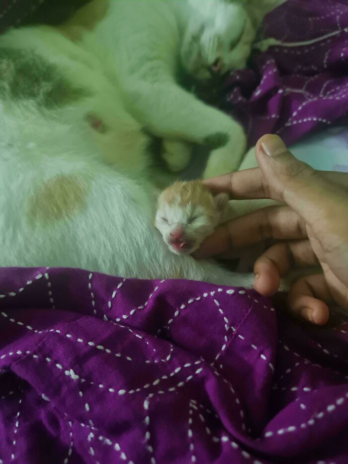 50 Wholesome Pics Of Rescued Pets Discovering Love, One Paw At A Time (September Edition) 50 Wholesome Pics Of Rescued Pets Discovering Love, One Paw At A Time (September Edition)