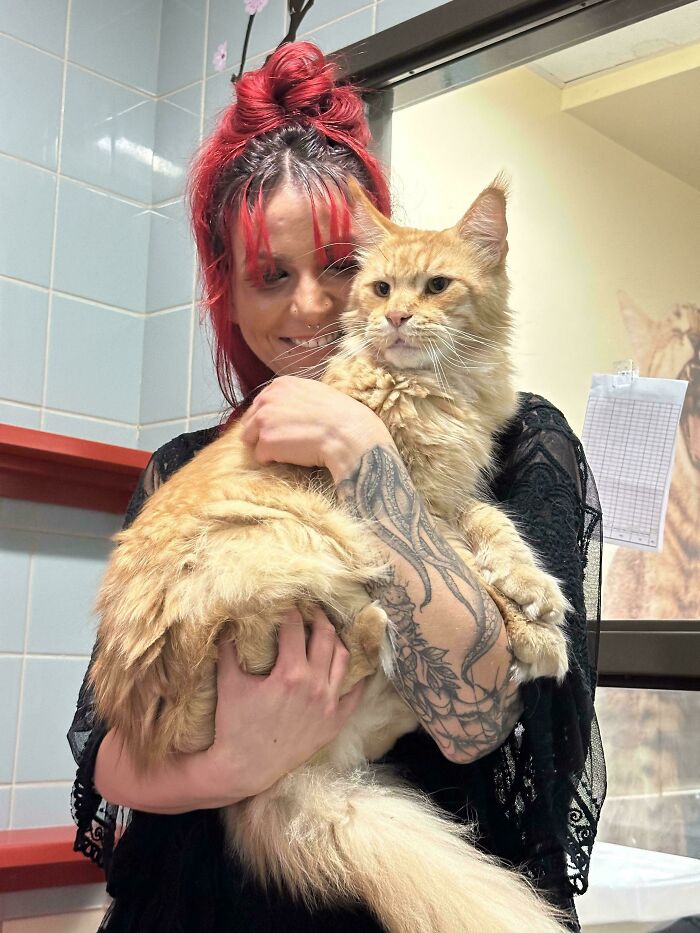 50 Wholesome Pics Of Rescued Pets Discovering Love, One Paw At A Time (September Edition) 50 Wholesome Pics Of Rescued Pets Discovering Love, One Paw At A Time (September Edition)