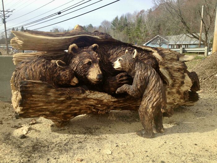 50 Times People Turned Pieces Of Wood Into Masterpieces With Their Bare Hands (New Pics)