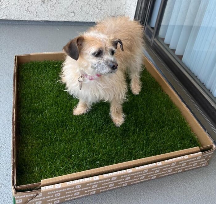 These 23 Shark Tank Items That Just Hit Different Than The Rest