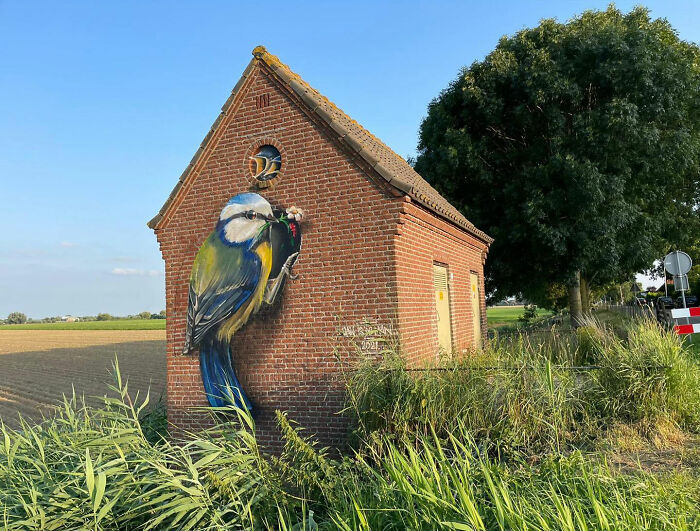 Dutch Artist Created 30 Jaw-Dropping Murals On Building Walls Dutch Artist Created 30 Jaw-Dropping Murals On Building Walls