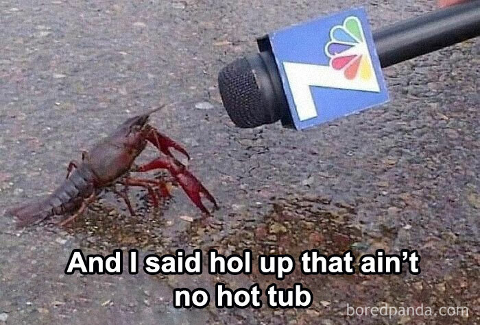 50 Hilariously Random Pics From “I Would Prefer Not To” IG Page (New Pics) 50 Hilariously Random Pics From “I Would Prefer Not To” IG Page (New Pics)