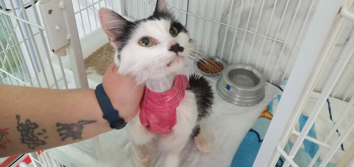 Hey Pandas, Share A Picture To That Might Brighten Someone’s Mood (Closed) Hey Pandas, Share A Picture To That Might Brighten Someone’s Mood (Closed)