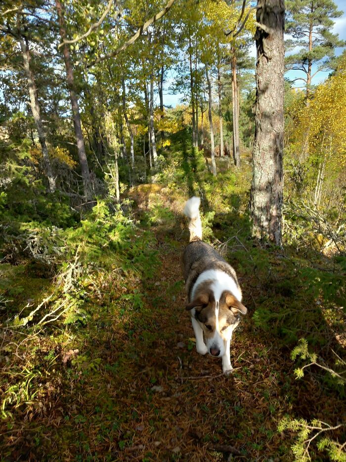 Hey Pandas, Share A Picture To That Might Brighten Someone’s Mood (Closed) Hey Pandas, Share A Picture To That Might Brighten Someone’s Mood (Closed)