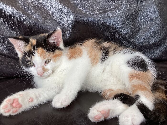 Hey Pandas, Share A Picture To That Might Brighten Someone’s Mood (Closed) Hey Pandas, Share A Picture To That Might Brighten Someone’s Mood (Closed)