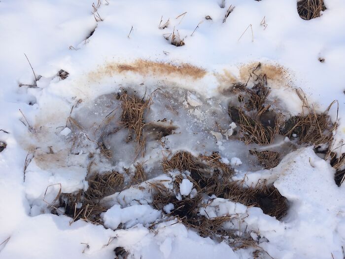 Hey Pandas, Share A Picture To That Might Brighten Someone’s Mood (Closed) Hey Pandas, Share A Picture To That Might Brighten Someone’s Mood (Closed)