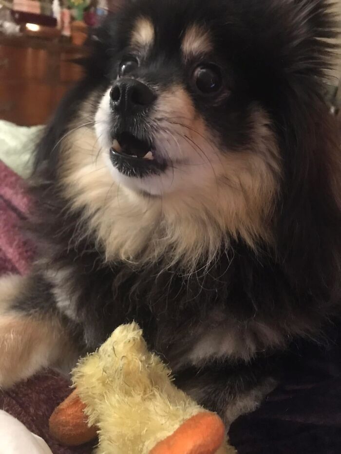 Hey Pandas, Share A Picture To That Might Brighten Someone’s Mood (Closed) Hey Pandas, Share A Picture To That Might Brighten Someone’s Mood (Closed)