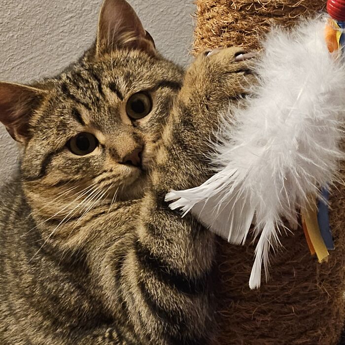 Hey Pandas, Share A Picture To That Might Brighten Someone’s Mood (Closed) Hey Pandas, Share A Picture To That Might Brighten Someone’s Mood (Closed)