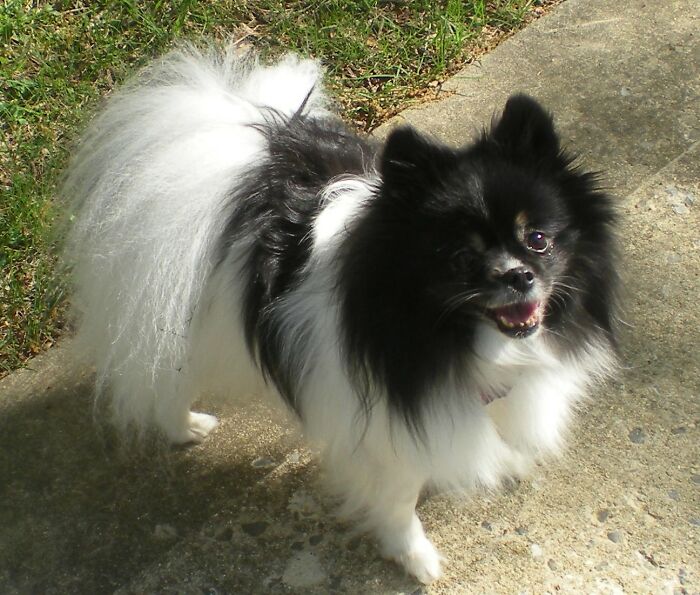 Hey Pandas, Share A Picture To That Might Brighten Someone’s Mood (Closed) Hey Pandas, Share A Picture To That Might Brighten Someone’s Mood (Closed)