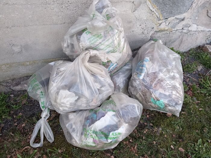 Hey Pandas, Share A Picture To That Might Brighten Someone’s Mood (Closed) Hey Pandas, Share A Picture To That Might Brighten Someone’s Mood (Closed)