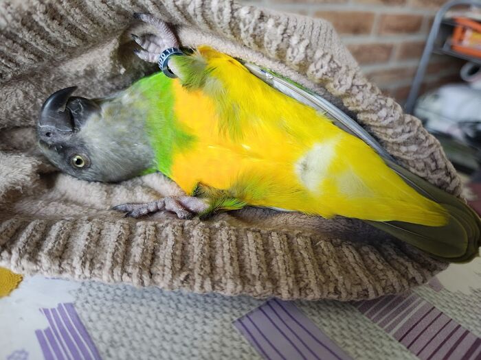 Hey Pandas, Share A Picture To That Might Brighten Someone’s Mood (Closed) Hey Pandas, Share A Picture To That Might Brighten Someone’s Mood (Closed)