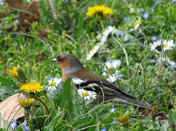 Hey Pandas, Share A Picture To That Might Brighten Someone’s Mood (Closed) Hey Pandas, Share A Picture To That Might Brighten Someone’s Mood (Closed)