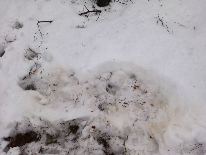 Hey Pandas, Share A Picture To That Might Brighten Someone’s Mood (Closed) Hey Pandas, Share A Picture To That Might Brighten Someone’s Mood (Closed)