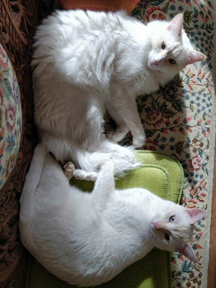 Hey Pandas, Share A Picture To That Might Brighten Someone’s Mood (Closed) Hey Pandas, Share A Picture To That Might Brighten Someone’s Mood (Closed)