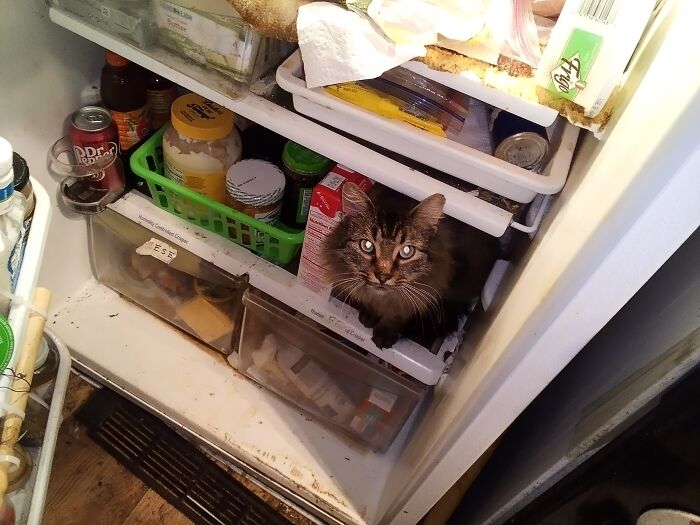 Hey Pandas, Share A Picture To That Might Brighten Someone’s Mood (Closed) Hey Pandas, Share A Picture To That Might Brighten Someone’s Mood (Closed)