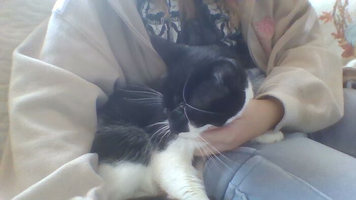 Hey Pandas, Share A Picture To That Might Brighten Someone’s Mood (Closed) Hey Pandas, Share A Picture To That Might Brighten Someone’s Mood (Closed)