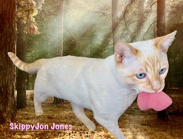 Hey Pandas, Share A Picture To That Might Brighten Someone’s Mood (Closed) Hey Pandas, Share A Picture To That Might Brighten Someone’s Mood (Closed)