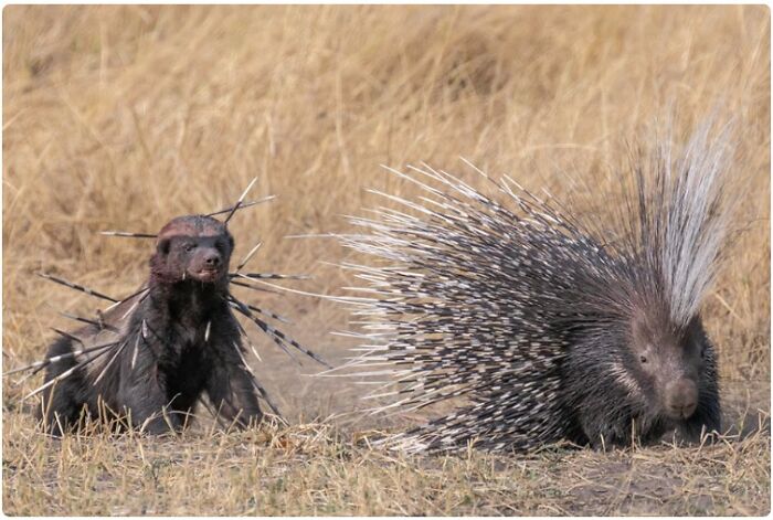 Hey Pandas, Share A Picture To That Might Brighten Someone’s Mood (Closed) Hey Pandas, Share A Picture To That Might Brighten Someone’s Mood (Closed)