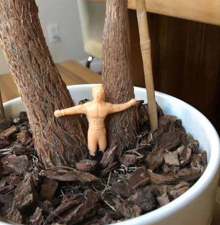 25 Hilarious Valentine’s Gifts For People With “Humor” As Their Love Language 25 Hilarious Valentine’s Gifts For People With “Humor” As Their Love Language