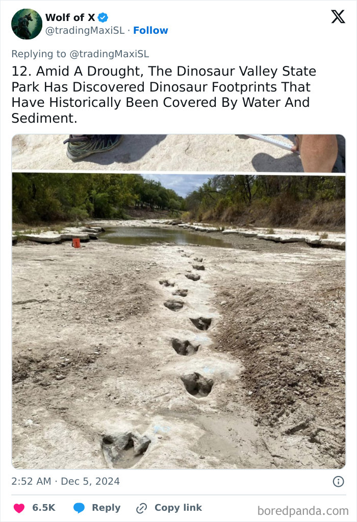40 Historical Finds That Might Surprise You How Well They Survived 40 Historical Finds That Might Surprise You How Well They Survived
