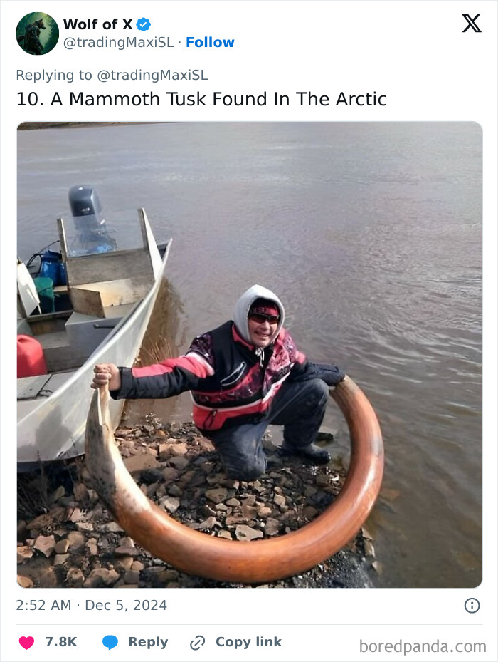 40 Historical Finds That Might Surprise You How Well They Survived 40 Historical Finds That Might Surprise You How Well They Survived