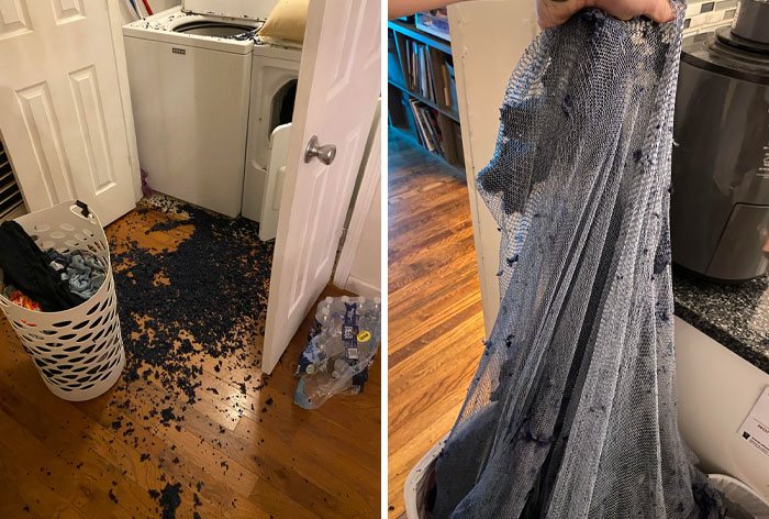 50 Items That Were So Low In Quality People Who Bought Them Had To Share Them Online 50 Items That Were So Low In Quality People Who Bought Them Had To Share Them Online