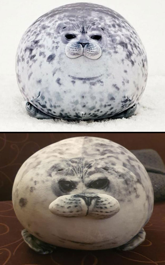 50 Items That Were So Low In Quality People Who Bought Them Had To Share Them Online 50 Items That Were So Low In Quality People Who Bought Them Had To Share Them Online