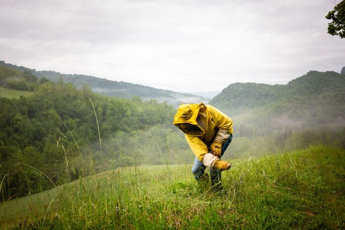 Powerful Storytelling Through Photography: The 2024 TIFA Editorial Winners (15 Pics)