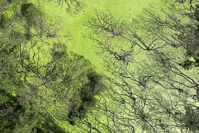 Powerful Storytelling Through Photography: The 2024 TIFA Editorial Winners (15 Pics)