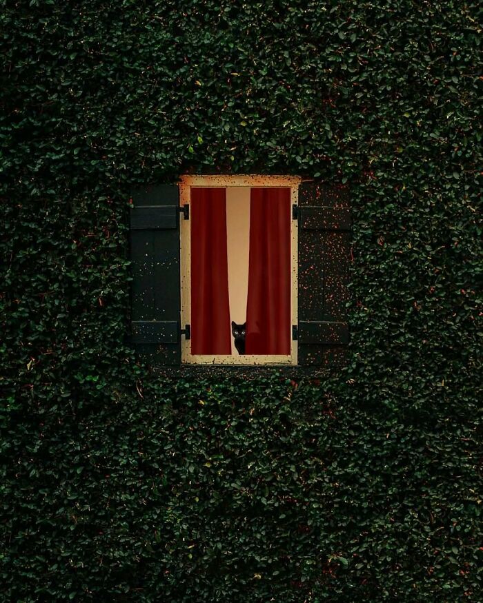 40 Meditative Photo Art Pieces Made By Benjamin Wolf