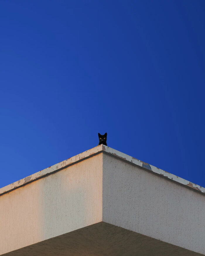 40 Meditative Photo Art Pieces Made By Benjamin Wolf