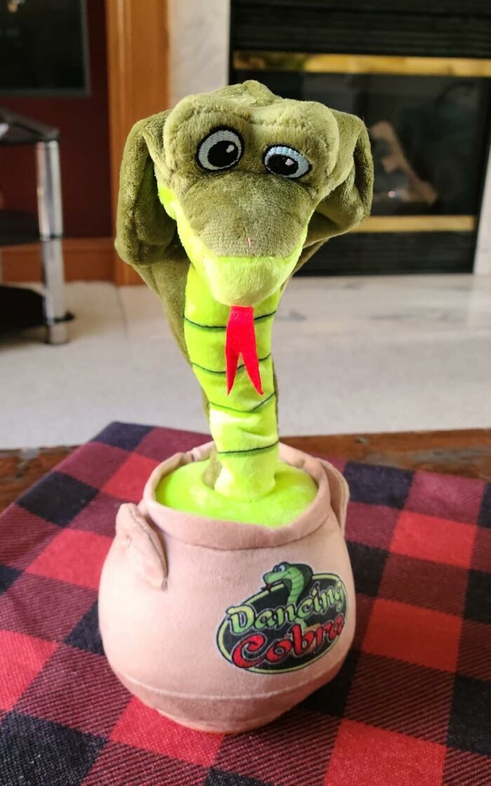 We Went Deep Into Amazon&#8217;s Strange Side And Found These 22 Gems