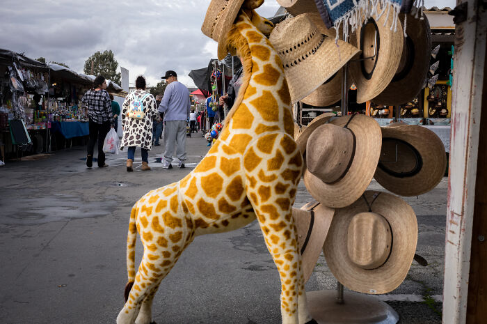I Photographed The Soul Of A Flea Market Before It’s Gone Forever (18 Pics) I Photographed The Soul Of A Flea Market Before It’s Gone Forever (18 Pics)