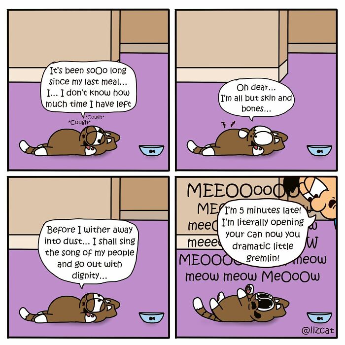 20 Funny New Comics By Nick Filippou That Nail Life With A Cat 20 Funny New Comics By Nick Filippou That Nail Life With A Cat
