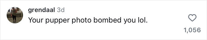 “You Need A Burger”: Bella Hadid Heats Up The Snow, And Fans Have Hilarious Reactions “You Need A Burger”: Bella Hadid Heats Up The Snow, And Fans Have Hilarious Reactions