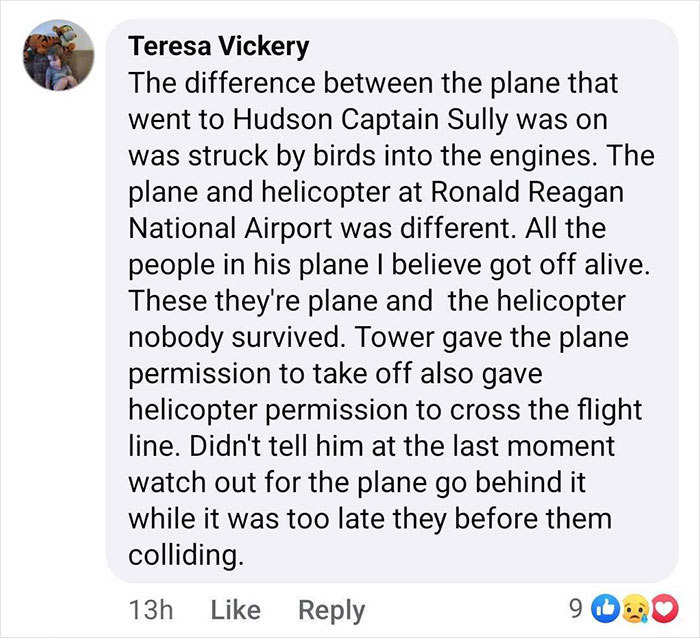 Pilot Famed For Miracle Hudson Landing Praised For Theory On Why DC Plane Crash Happened