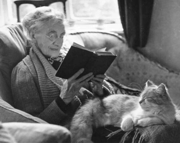This Journalist Collects Vintage Cat Photos That Might Melt Your Heart (20 New Pics) This Journalist Collects Vintage Cat Photos That Might Melt Your Heart (20 New Pics)