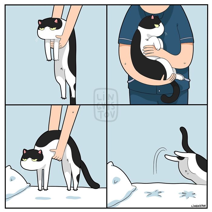 30 Hilarious New Comics by Lingvistov That Perfectly Capture Life With a Cat