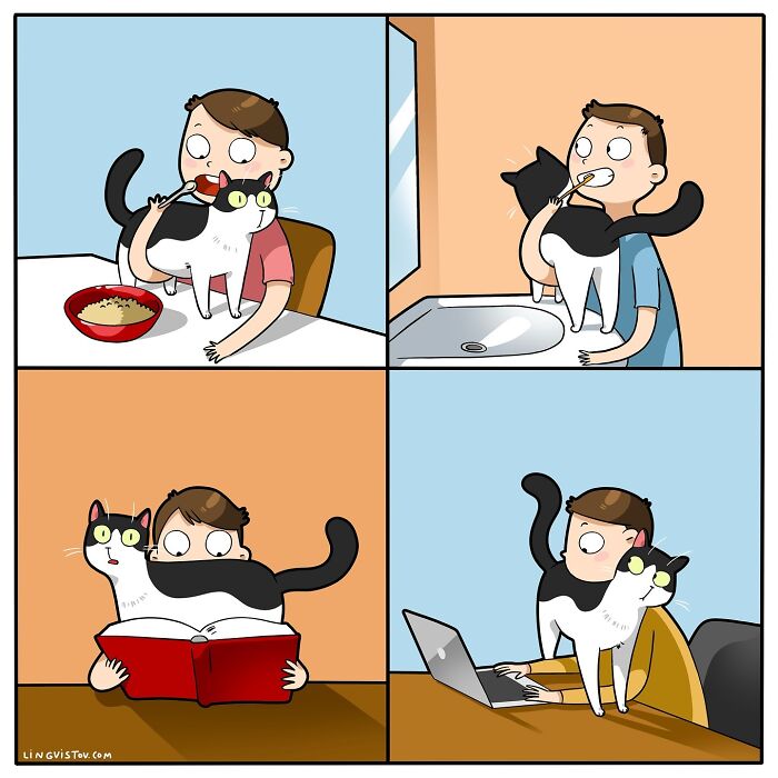 30 Hilarious New Comics by Lingvistov That Perfectly Capture Life With a Cat
