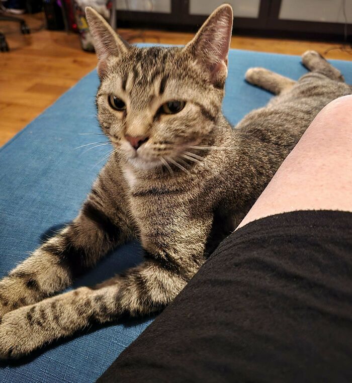 50 Times People Adopted Pets From A Shelter And It Was Their Best Decision Ever (January Edition) 50 Times People Adopted Pets From A Shelter And It Was Their Best Decision Ever (January Edition)