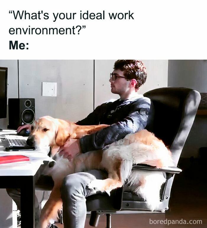 This IG Account Captures The Struggles Of Office Workers In 30 Hilarious Memes This IG Account Captures The Struggles Of Office Workers In 30 Hilarious Memes