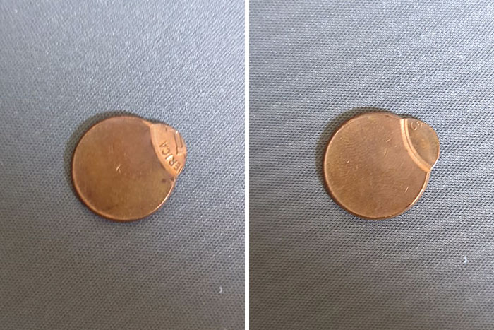 This Viral Online Thread Has 30 Coin Collectors Sharing The Gems Of All Their Collections