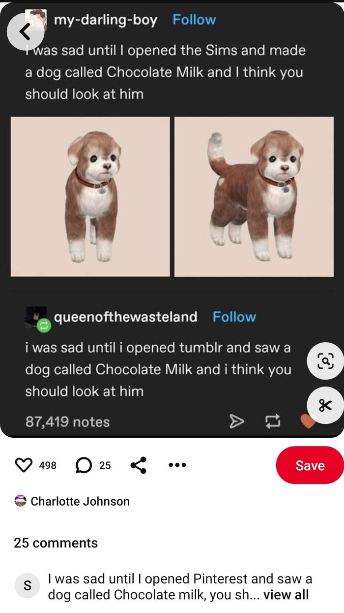 Hey Pandas, Post Something That Will Make Everyone’s Day Better Hey Pandas, Post Something That Will Make Everyone’s Day Better