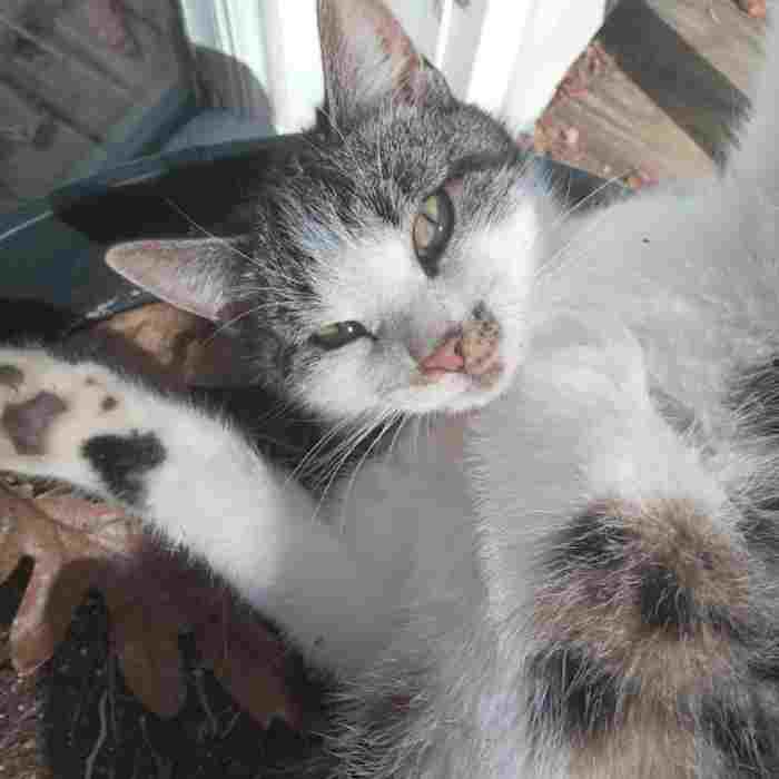 Hey Pandas, Post Something That Will Make Everyone&#8217;s Day Better