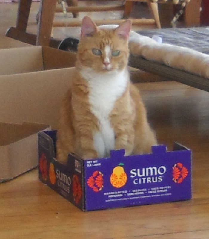 Hey Pandas, Post Something That Will Make Everyone&#8217;s Day Better