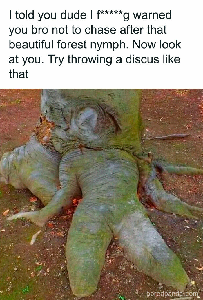 50 Funny Memes For Those Who Are In Need Of Their Daily Dose Of Laughter 50 Funny Memes For Those Who Are In Need Of Their Daily Dose Of Laughter