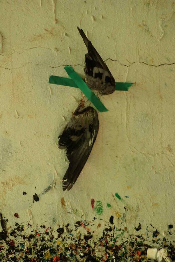 How Sculptural Materials Became My Creative Partners And Transformed My Perspective On Art How Sculptural Materials Became My Creative Partners And Transformed My Perspective On Art