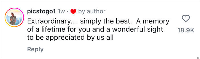 “This Was Insane!”: Ballerina Goes Viral After “Career-Ending” Dance On Bow Of Ship In Icy Waters