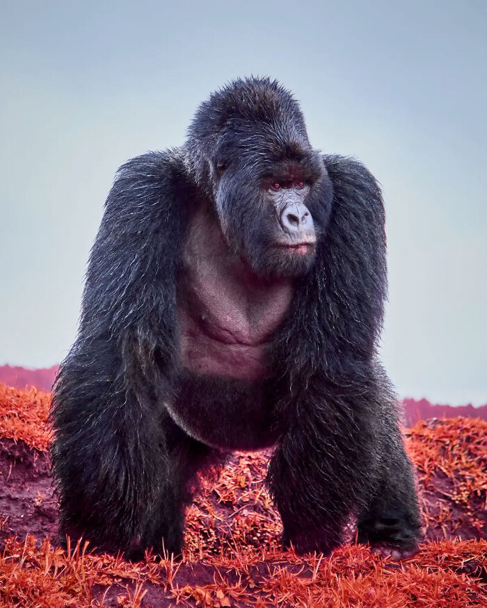 Around The World In Photos: AAP Magazine Celebrates The 45th ‘Travels’ Contest Around The World In Photos: AAP Magazine Celebrates The 45th ‘Travels’ Contest