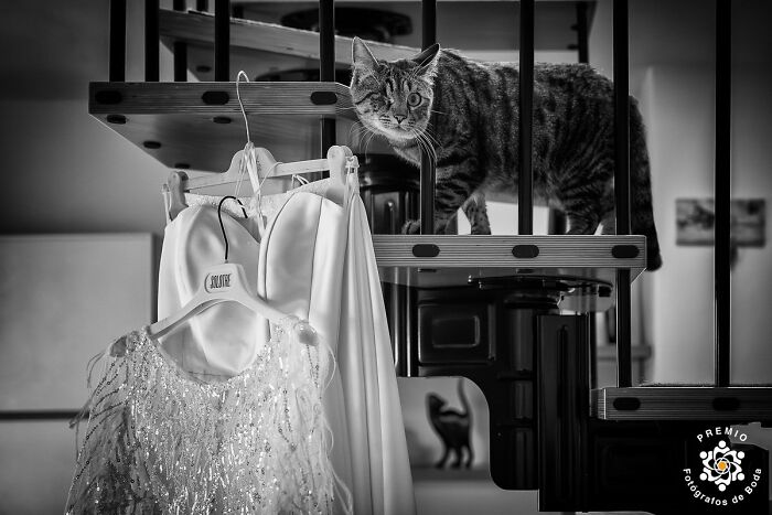 25 Best Wedding Photos From The 2024 Premios FdB Awards 25 Best Wedding Photos From The 2024 Premios FdB Awards